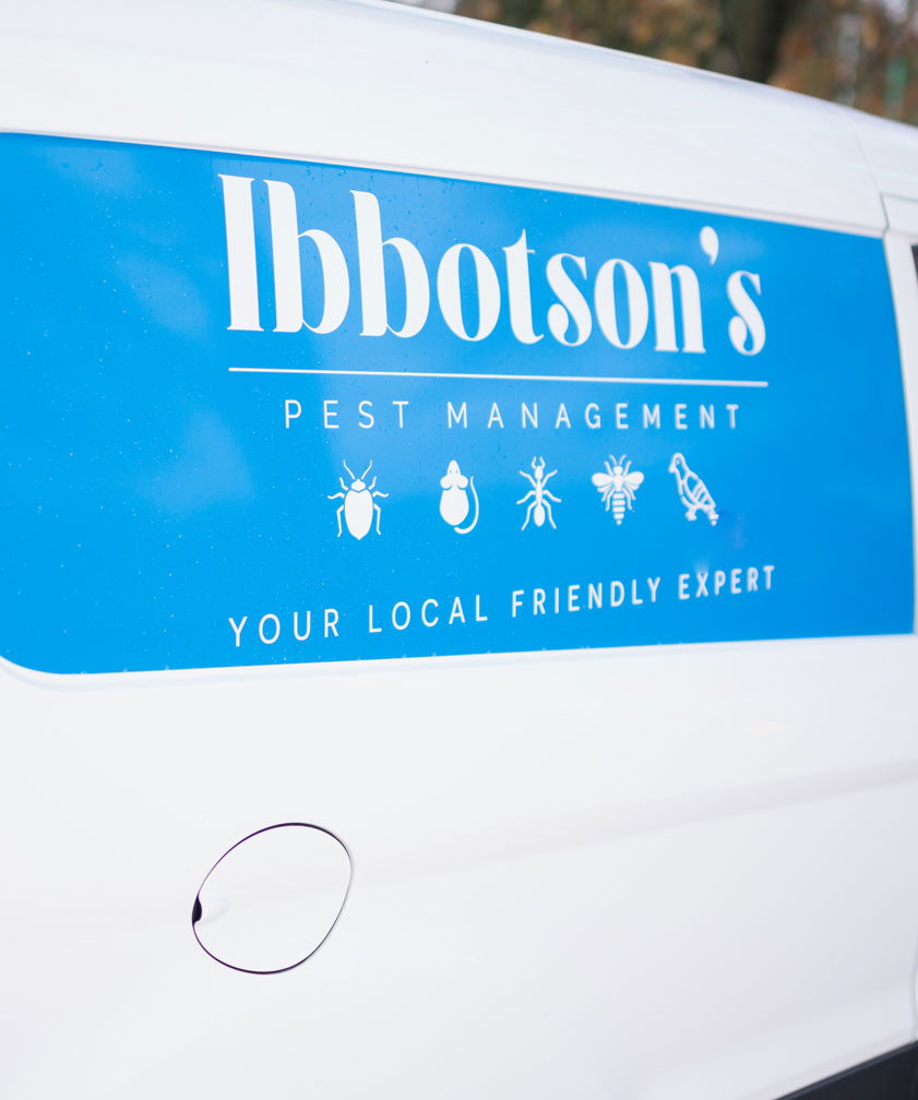 Pest Management Greater Leeds Area
